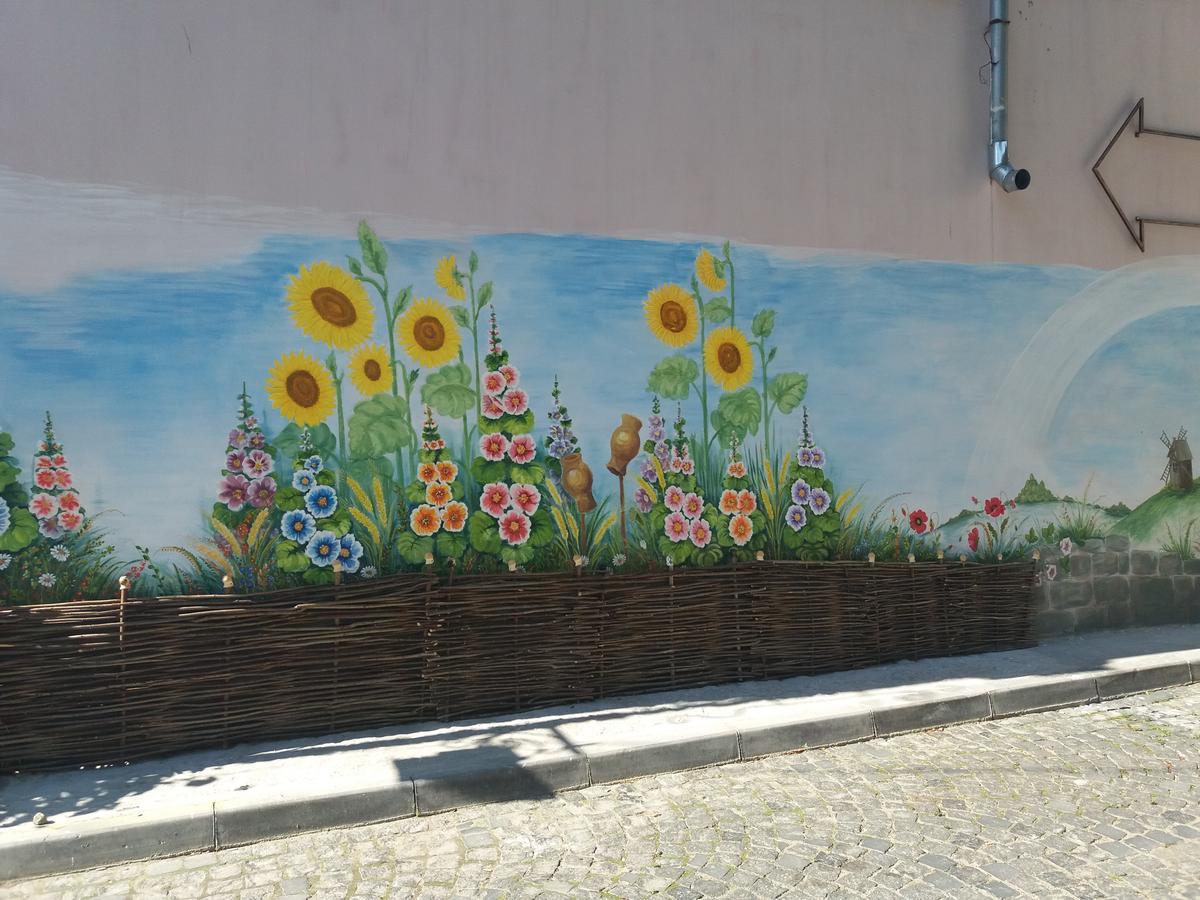 Уютные Апартаменты В Самом Сердце Старого Города Kam'janec'-Podil's'kyj Esterno foto